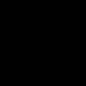 Meet your Posher, Gabriella